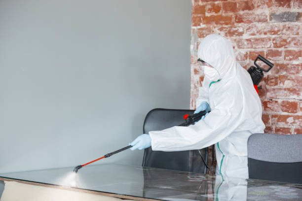 Best Attic Mold Removal in Mount Union, PA